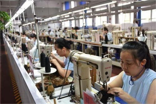 專題 走民企 看發展 提信心